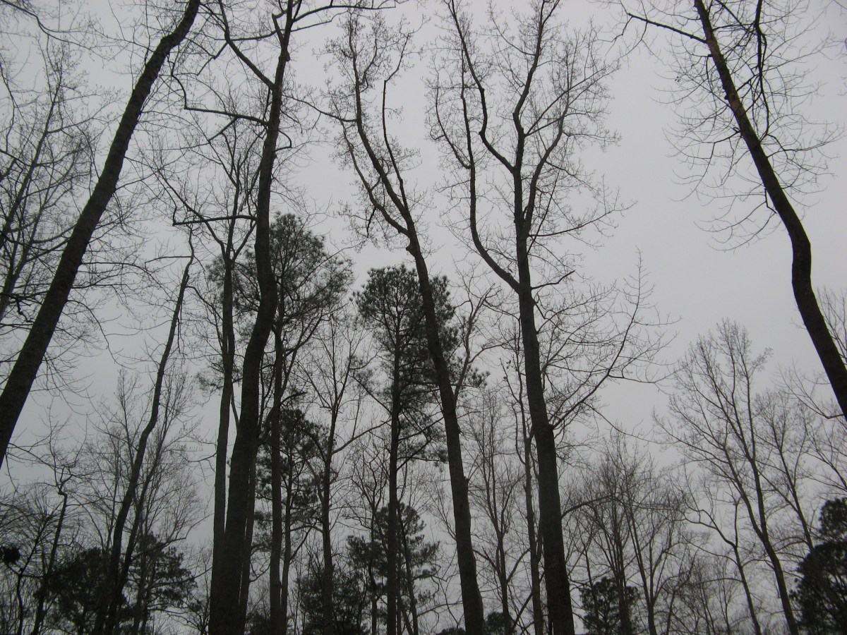 Tipps gegen den&nbsp;Winter-Blues